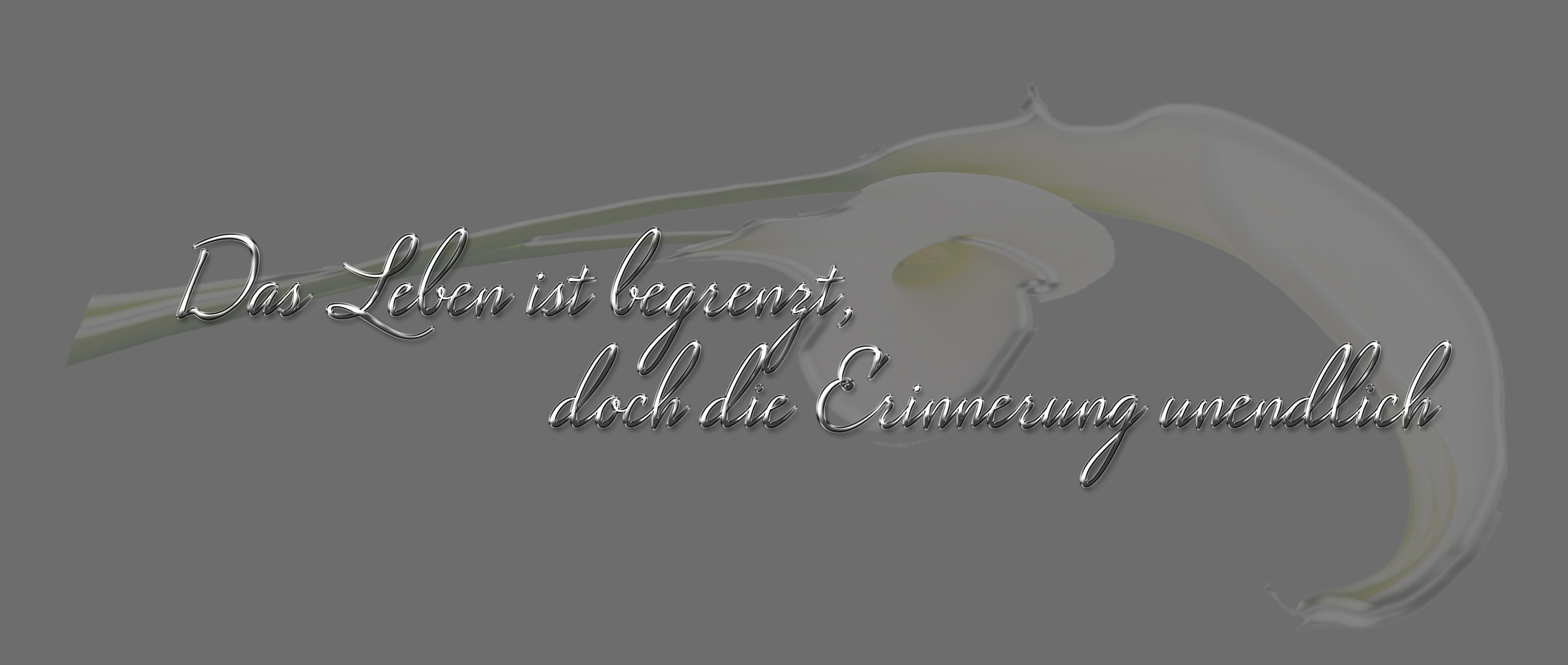 Das Leben ist begrenzt, doch die Erinnerung unendlich.